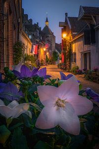 Muurhuizen Amersfoort in de lente van Albert Dros