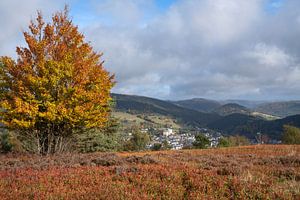 Willingen, Rothaargebirge, Sauerland, Deutschland