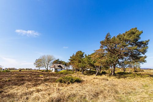 Vakantiehuis tussen Vitte en Neuendorf op het eiland Hiddensee
