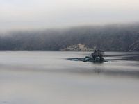 green rocks in the fog