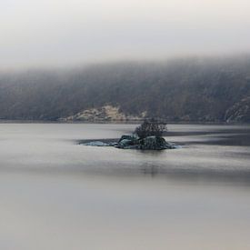 Green Rocks in a foggy Fjord