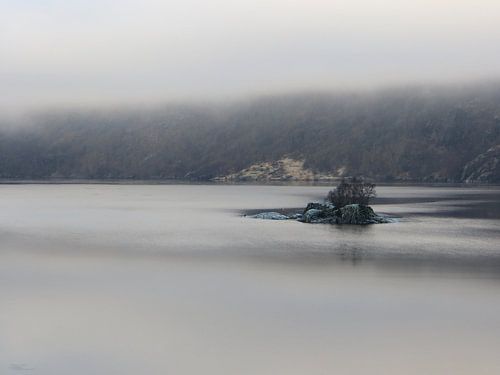 Grüne Felsen in einem nebligen Fjord