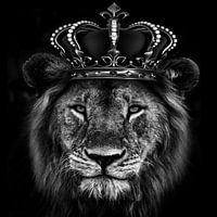 Le roi lion