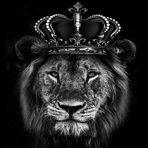 Der König der Löwen