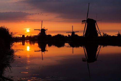 Kinderdijk Zonsondergang