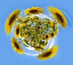 Planet Sonnenblume von Ans Bastiaanssen Miniaturansicht