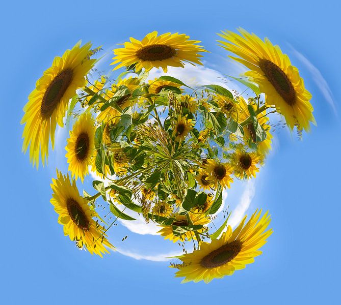 Planet Sonnenblume von Ans Bastiaanssen