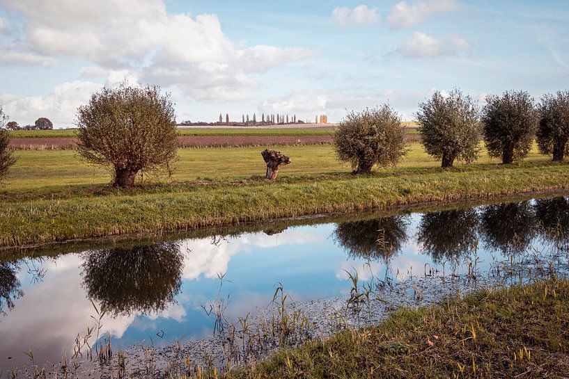 Klein Toscane van Rob Boon