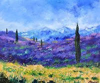 Lavendel in de Provence
