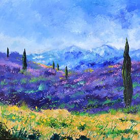 Lavender in Provence sur pol ledent