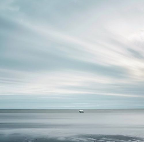 Aesthetic minimalism