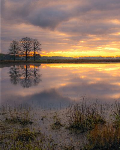 Zonsopkomst aan het Scharreveld, Drenthe