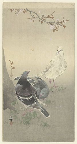 Drei zahme Tauben, Ohara Koson