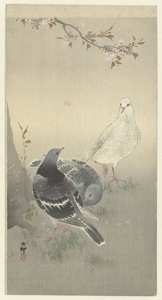 Drie tamme duiven, Ohara Koson van Creative Masters