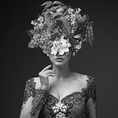 Expressions Élégantes