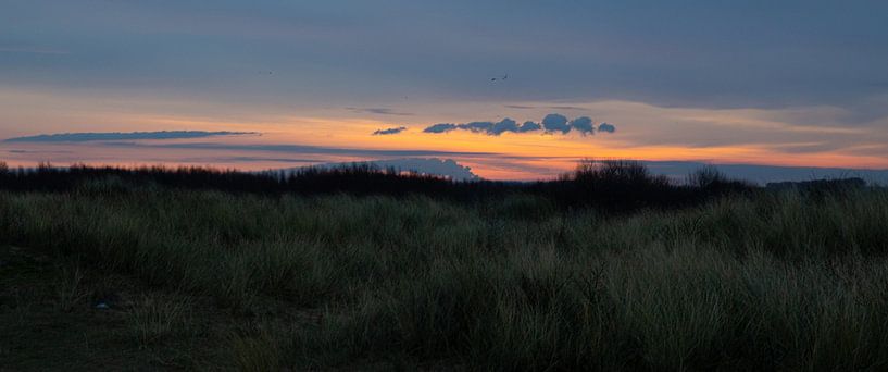 Zonsopkomst, Zeeland van Nynke Altenburg
