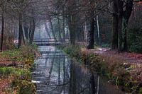 Mystical canal reflections in the early morning