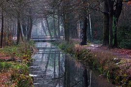 Reflets mystiques du canal au petit matin