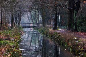 Mystieke kanaalreflecties in de vroege ochtend in Heerenveen van Steven Valkenberg