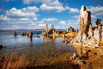 Calcareous tuff deposits in Mono Lake in the Sierra Nevada California USA by Dieter Walther