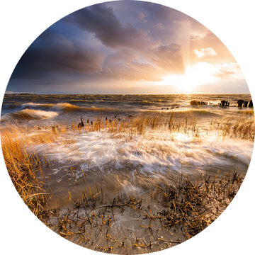 De zee neemt. van Ton Drijfhamer