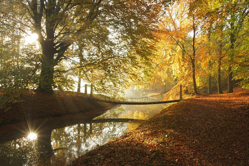 Pont dans la forêt par Michel van Kooten