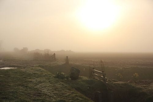 Texel Landschap 025