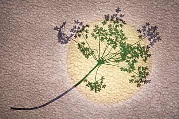Minimalistische kunst van tak met bloemen en zon van Lisette Rijkers
