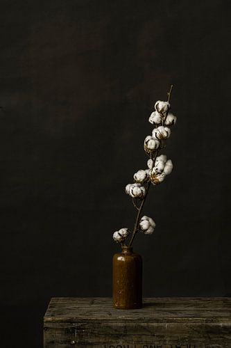Foto print | katoentak in aardewerk vaas | botanisch