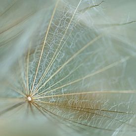 Geweven van Elke van Putten