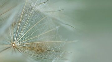 Woven by Elke van Putten