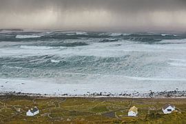 WHITE HOUSES IN THE STORM