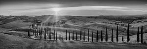 Paysage toscan avec des champs et des collines en noir et blanc. sur Manfred Voss, Schwarz-weiss Fotografie