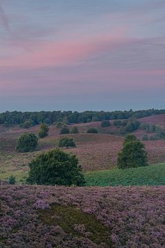 Zonsopkomst boven de Posbank von Sjoerd van der Wal Fotografie