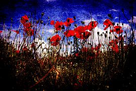 Dance of the Poppies by Herman Peters