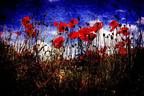 Dance of the Poppies by Herman Peters