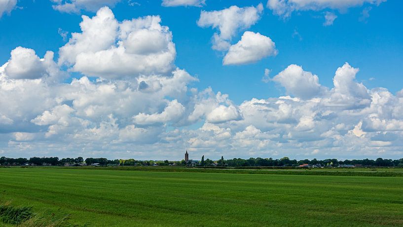 De Eemnesser Polder van Peter Veerman
