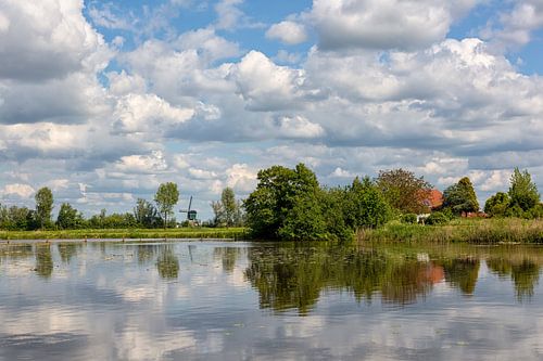 Een Hollands landschap in de zomer