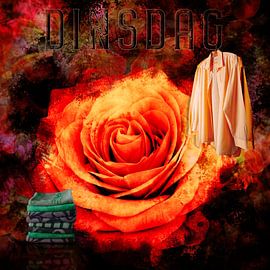 Roses Color the Week, Tuesday by Helga Blanke