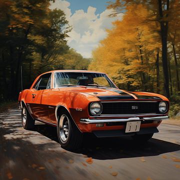 1967 Chevrolet camaro by The Xclusive Art