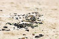 Am strand von Michiel piet Miniaturansicht