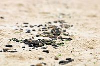 Am strand