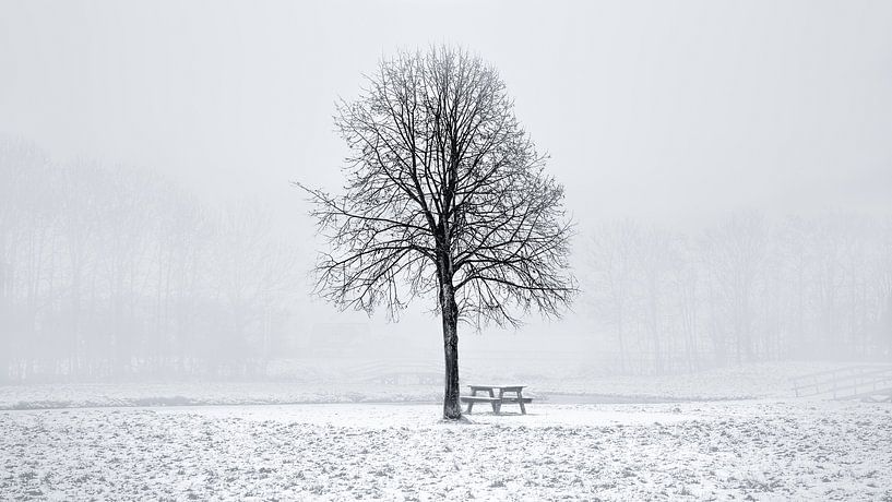 Hiver par Delano Balten