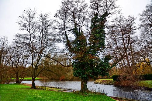 Zicht op de golfbaan