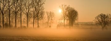 Opkomend mist op een ijzige zonnige morgen aan de Dender