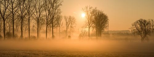 Incoming fog on a frosty sunny morning on the Dender