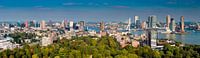 Panorama Rotterdam from the Euromast