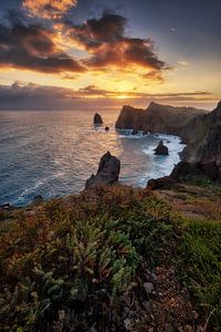 Madeira by Marvin Schweer