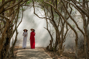 Deux femmes vietnamiennes marchent parmi les palétuviers