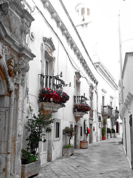 Ostuni - Het witte stadje bovenop de heuveltop von Assia Hiemstra